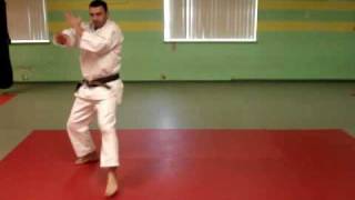 Bassai Kata  Wado Ryu Karate [upl. by Aikemal768]