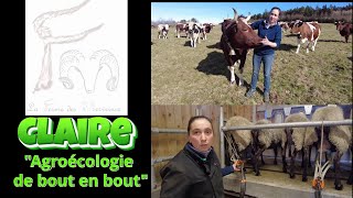 FERME des VERVEINES lAGROECOLOGIE appliquée au pied de la lettre tout au long de chaîne [upl. by Hcaz]