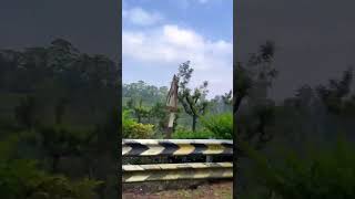 Bike Ride through Valparai Hair Pin Bends 2024 Valparai Ride 2024 trendingshorts [upl. by Hennahane]