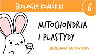 Cytologia 6  Mitochondria chloroplasty i inne plastydy  biologia do matury liceum [upl. by Malvin558]