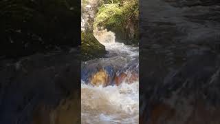 Ingleton waterfall walk [upl. by Ailito]