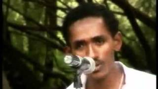 Hachalu HundessaNew Oromo Music [upl. by Navac]