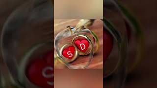 S♥️D love shortsfeed shortvideo nameart viralvideo tag song [upl. by Sigsmond]