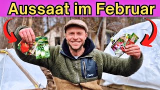 11 Gemüse die Du im FEBRUAR säen kannst 🌱  Aussaat im Frühbeet [upl. by Salomo361]