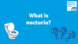 What is nocturia [upl. by Ariadne]