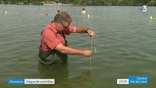 Contrôles sanitaires à la base de loisirs de ChâlettesurLoing dans le Loiret [upl. by Doble384]