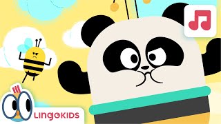 BEES BUZZ CHANT 🐝🎶 Alliteration Songs for kids  Lingokids [upl. by Ydderf101]