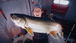 How to Ice Fish for Lake Trout with Bait RodsReelsLineRigging [upl. by Harvey282]