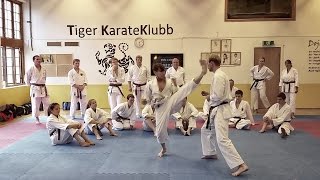 Awesome Dynamic Kicking  by Rick Hotton Sensei [upl. by Crystie907]