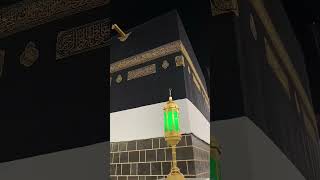 Holy Kaaba  Beautiful Moments  MTWORLD Shorts [upl. by Mildrid577]