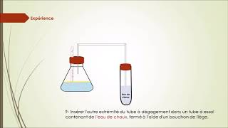 Respiration anaerobie [upl. by Tome]