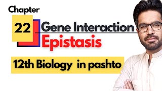 Gene Interaction and epistasis  Class 12th biology  Chapter 22 Inheritance in pashto [upl. by Adahs]