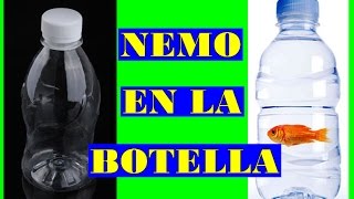 Nemo en la botella  Fish in bottle  N  Revelado [upl. by Combe]