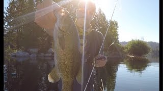 Hot Summer Days Bass Fishing Antelope Lake CA [upl. by Adnylam860]