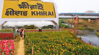 Khirai Flower Garden 2024  Khirai One Day Trip From Kolkata  Khirai Valley of Flowers [upl. by Galer91]