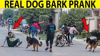 Real Dog Bark Prank SmartiesPrankTV [upl. by Bergerac]