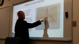 RadioBiology Lecture 2 Video 1 of 2 [upl. by Anelat]