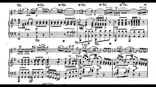 Haydn  Violin Concerto No 2 in G major 1st Mov piano accompaniment [upl. by Renie463]