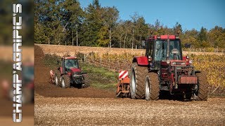 Case IH 1255 XL  Magnum MX200  Bêchage des terres à vignes [upl. by Sommers]