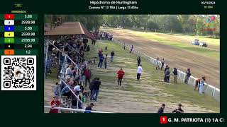 Hurlingham Gran Premio Sudamericano [upl. by Naresh286]