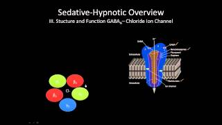 The GABA receptor  How does it work [upl. by Llekim]