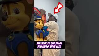 Atrapamos a uno de los paw patrol 😱😱 [upl. by Isidor]