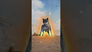 WOLF GAME  here you are 🤣The full video you want is here wolfgame shorts [upl. by Suravat]