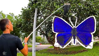 KID CATCHES RARE BUTTERFLY WITH EXTENSION NET LOCALS AMAZED [upl. by Erasme110]