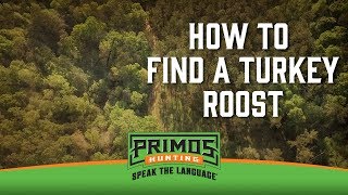 How to Find a Turkey Roost [upl. by Otsirave219]