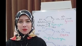 Protein Metabolism Session 16 Aromatic Amino Acids [upl. by Foss609]