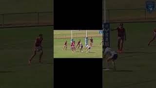 Patrick Young  SG Ball amp Jersey Flegg tries PatrickYoungBulldogs [upl. by Mirabelle]