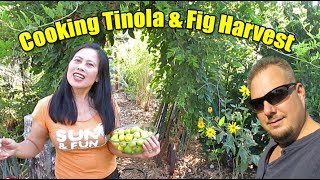 Filipina Cooks Tinola For Her American Husband And Picks Figs From The Backyard Garden [upl. by Augy]