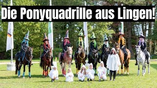 Ponyquadrille 😍  Wow toll sind diese Schulpferde  Galaabend AGRAVISCup Oldenburg [upl. by Chelsie]