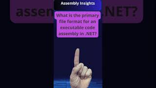 Understanding NET Assemblies [upl. by Cassius590]