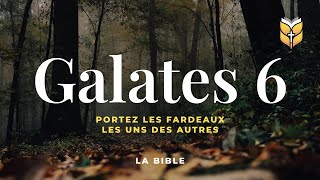 La Bible Galates 6 Louis Segond biblevision [upl. by Wendell451]