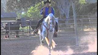 MI CABALLO ENSILLADOEL PUMA DE SINALOA [upl. by Mcgregor]