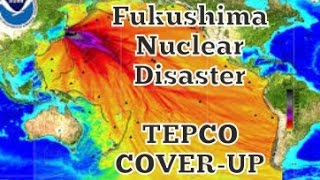 Fukushima nuclear disaster cover up TEPCO [upl. by Romeyn411]