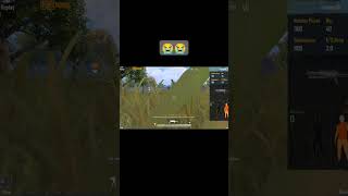 These ghillie suit campers😂 [upl. by Iilek989]