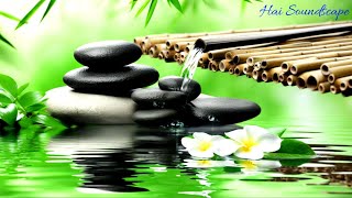 Relaxing Piano Music amp Bamboo Fountain Heal Insomnia and Stress with Soothing Melodies [upl. by Rickey]