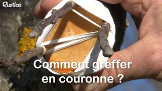 Comment greffer en couronne un arbre fruitier [upl. by Reffinej72]