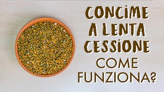 Concimi a lenta cessione a cosa servono e come funzionano [upl. by Naryt166]