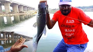 Hyderabad Fishing Tacnics  Fishing Big Catlaamp Rohu Fish Catching🎣 [upl. by Backler759]