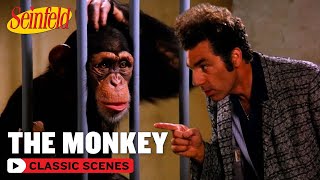 Kramer Has A Fight With A Monkey  The Face Painter  Seinfeld [upl. by Bannister]