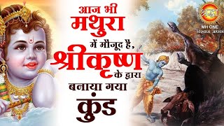 जब भगवान श्री कृष्ण ने किया गौ हत्या का पाप फिर क्या हुआ  Sharddha MH ONE [upl. by Palmer]