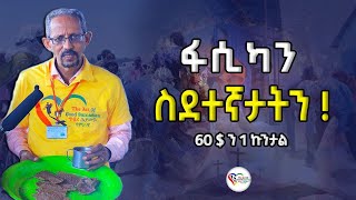 ኣብ ግዜ ፋሲካ ትጽብት ስደተኛታት ኣእዋትና እንታይ እዩ ናይ 3 ደቂቃ ቪድዮ ሽር፥ነጻ ኮፒ Shorts share subscribe eritrea [upl. by Durrej]