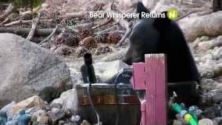 Viasat Nature Eastern Europe  Bear Whisperer Returns promo [upl. by Maxi]