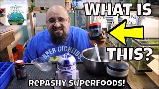 What is Repashy Fish Food How to feed Repashy SuperFood [upl. by Ruddy720]