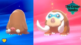 HOW TO Evolve Piloswine into Mamoswine in Pokémon Sword and Shield [upl. by Tamer]