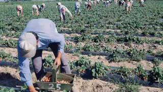 El llanto de un ilegal Montez San Lorenzo Gro Altamirano Gro Tierra Caliente [upl. by Flint]