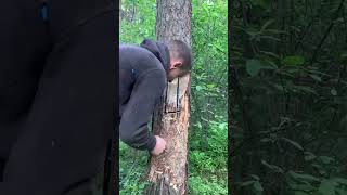 Master the Method of Cutting Wood Like a Pro [upl. by Ihcelek]